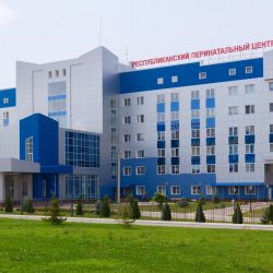 31 Perinatal'niy Centr Saransk 001